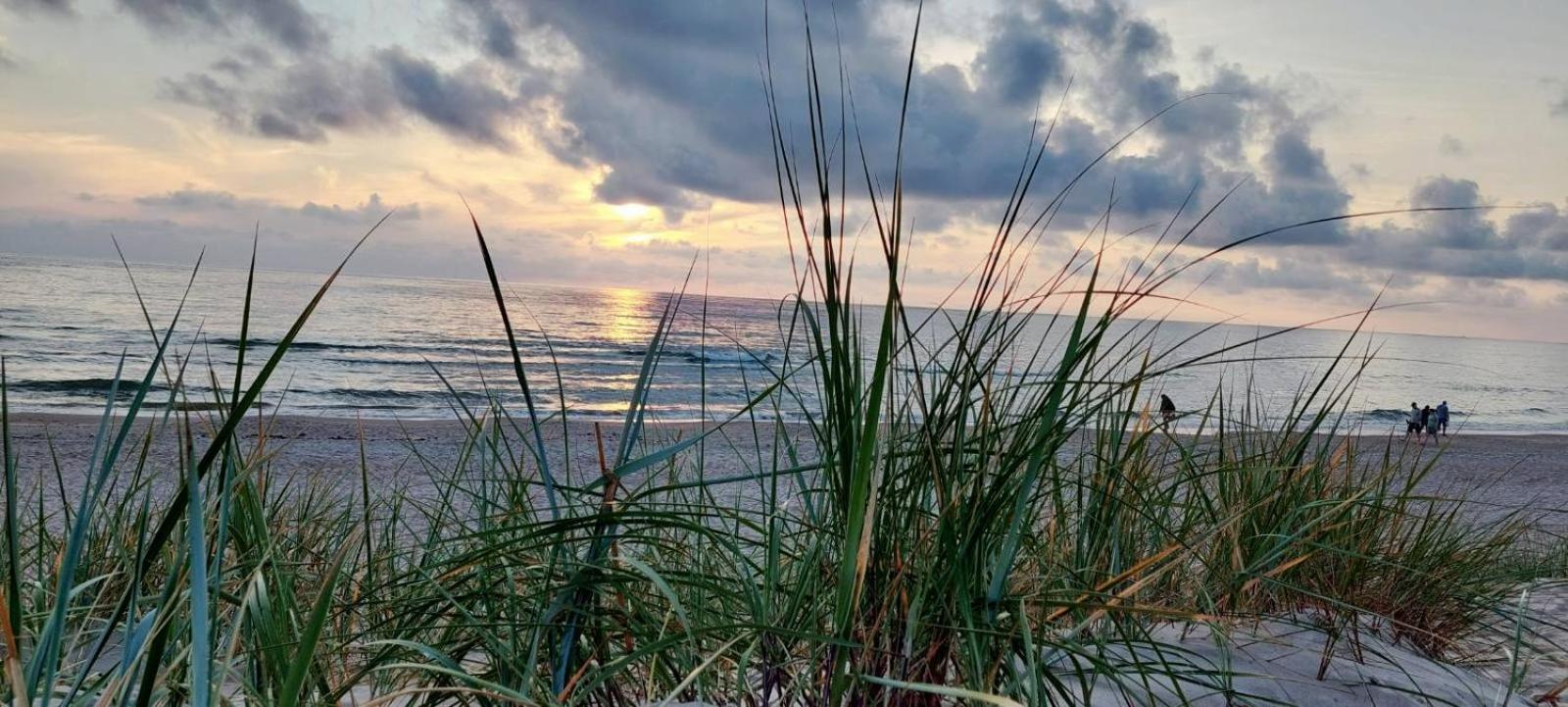 Gerves Apartamentai Palanga Bagian luar foto