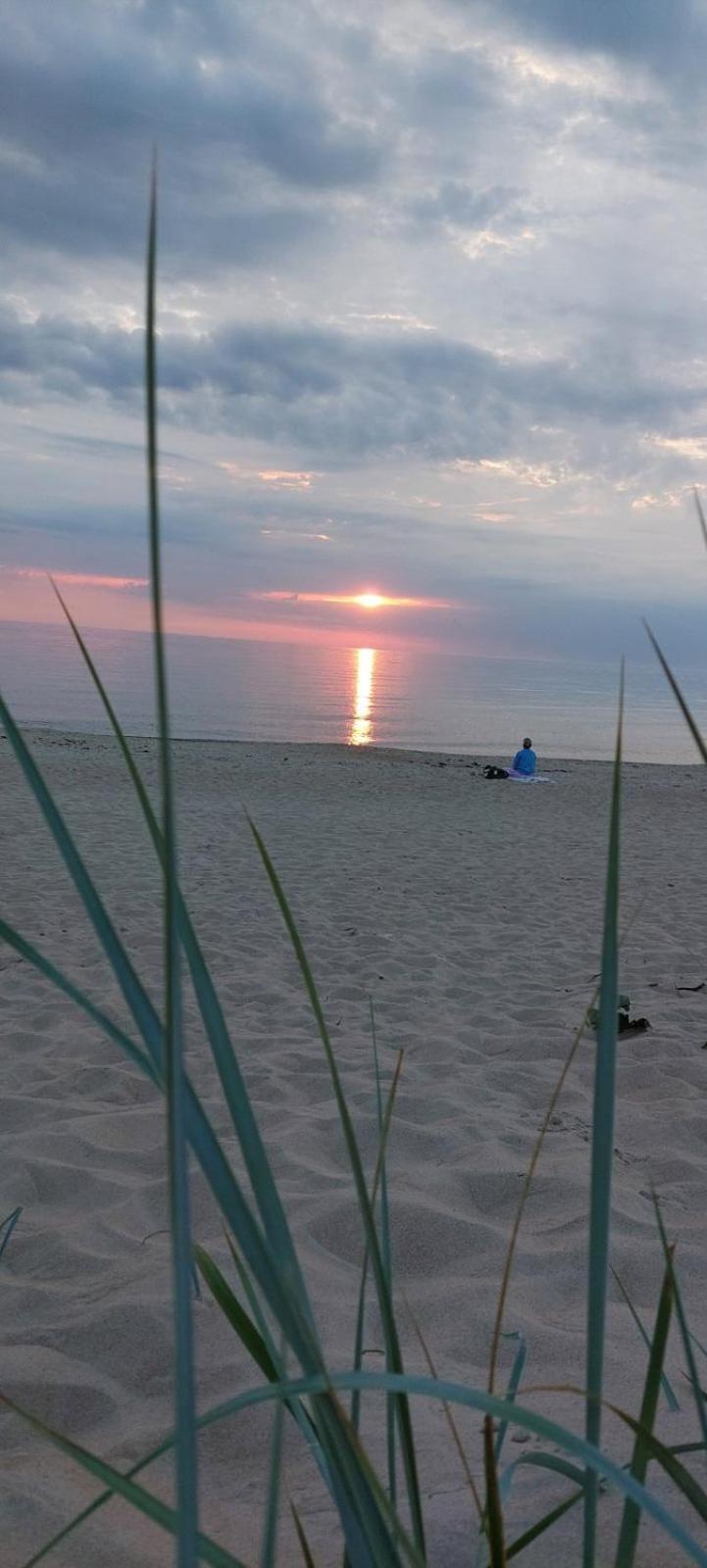 Gerves Apartamentai Palanga Bagian luar foto
